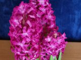 20240319_095803.jpg
