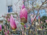 20240320_122622.jpg