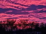 20240322_181507.jpg