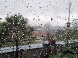20240323_142115.jpg