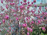 20240325_161742.jpg