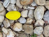 20240330_102521.jpg