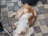 20240404_181932_Luna.jpg