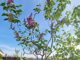 20240407_080810.jpg