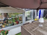 20240410_122646.jpg