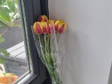 20240415_145158.jpg
