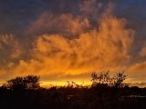 20240415_193048.jpg