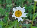 20240417_184203(0).jpg