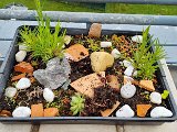 20240423_130151(0).jpg
