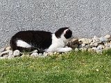 20240425_121742.jpg