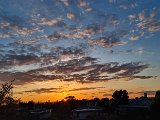 20240425_194911.jpg