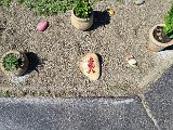 20240427_135143.jpg