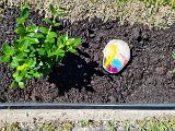 20240427_135156(0).jpg