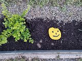 20240427_200629.jpg