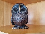 20240428_165707(0).jpg
