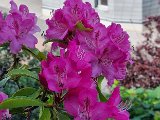 20240504_094836.jpg