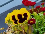 20240504_095149.jpg