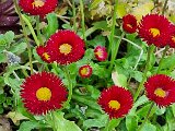 20240504_095200.jpg