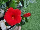 20240504_095223.jpg