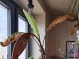 20240507_082706.jpg