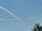 20240509_172224.jpg