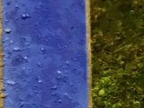 20240509_215016.jpg