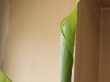 20240514_160244.jpg