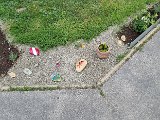 20240516_130831.jpg