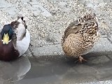 20240517_121432.jpg