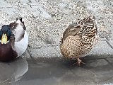 20240517_121438.jpg