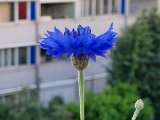 20240520_200247.jpg