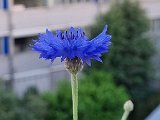 20240520_200256.jpg