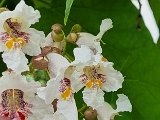20240601_151432(0).jpg