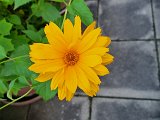 20240604_195806.jpg