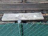 20240605_203824.jpg