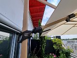20240606_131311.jpg