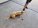 20240606_190310(0).jpg