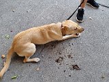 20240606_190319.jpg