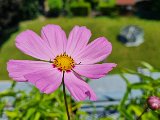 20240608_134513.jpg