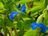 20240611_122435.jpg