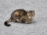 20240612_130218.jpg
