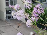20240613_195620.jpg