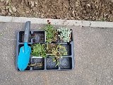 20240614_110727.jpg