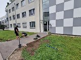 20240614_110801.jpg