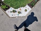 20240615_132640.jpg