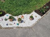 20240615_132656.jpg