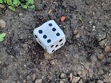 20240616_200726.jpg