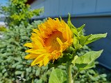 20240618_122228.jpg