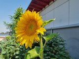 20240619_112528.jpg