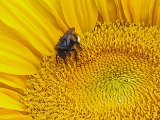 20240620_123448(0).jpg